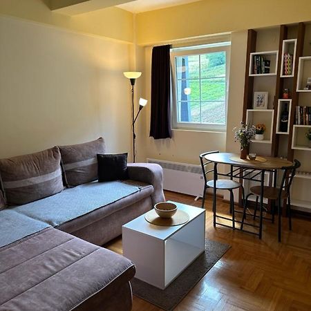 Suncani Apartman 36, Brzece Luaran gambar