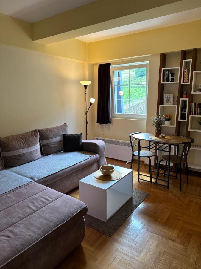 Suncani Apartman 36, Brzece Luaran gambar
